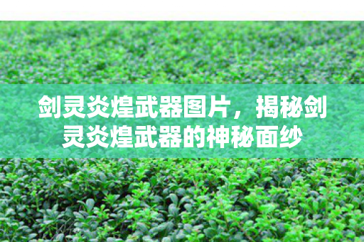 剑灵炎煌武器图片，揭秘剑灵炎煌武器的神秘面纱