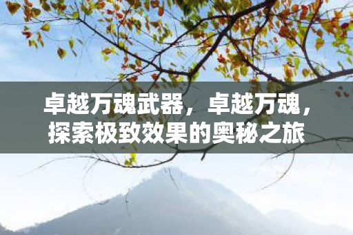 卓越万魂武器，卓越万魂，探索极致效果的奥秘之旅