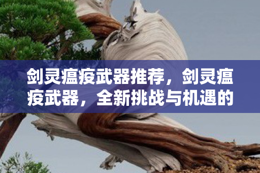 剑灵瘟疫武器推荐，剑灵瘟疫武器，全新挑战与机遇的降临