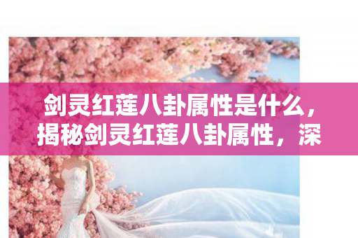 剑灵红莲八卦属性是什么，揭秘剑灵红莲八卦属性，深入解析强大战力之源