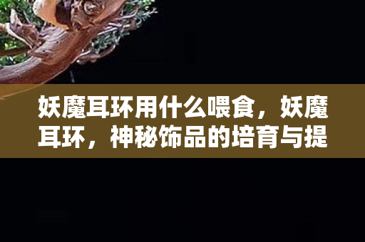 妖魔耳环用什么喂食，妖魔耳环，神秘饰品的培育与提升攻略