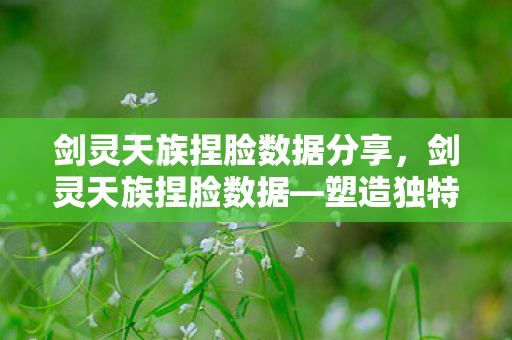 剑灵天族捏脸数据分享，剑灵天族捏脸数据—塑造独特魅力的神秘之旅