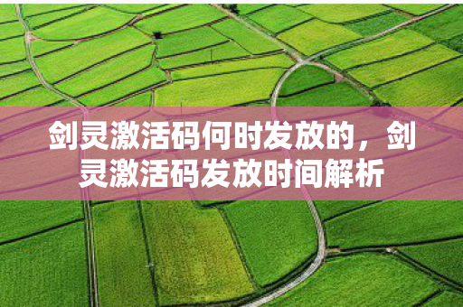 剑灵激活码何时发放的，剑灵激活码发放时间解析