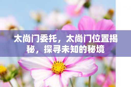 太尚门委托，太尚门位置揭秘，探寻未知的秘境