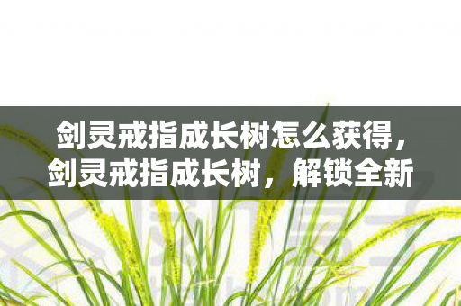 剑灵戒指成长树怎么获得，剑灵戒指成长树，解锁全新装备进阶之路