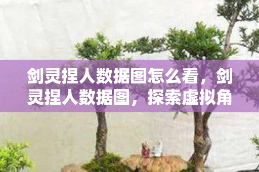 剑灵捏人数据图怎么看，剑灵捏人数据图，探索虚拟角色的艺术之美