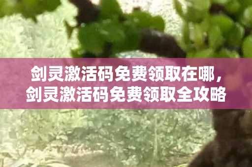 剑灵激活码免费领取在哪，剑灵激活码免费领取全攻略