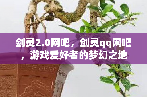 剑灵2.0网吧，剑灵qq网吧，游戏爱好者的梦幻之地