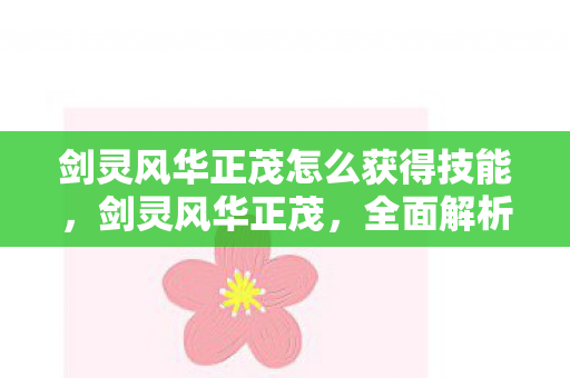 剑灵风华正茂怎么获得技能，剑灵风华正茂，全面解析获取方式