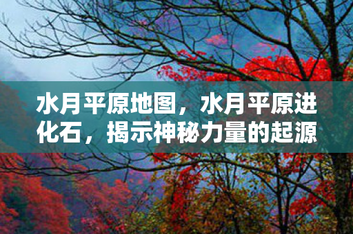 水月平原地图，水月平原进化石，揭示神秘力量的起源与奥秘