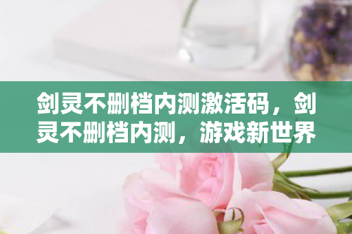 剑灵不删档内测激活码，剑灵不删档内测，游戏新世界的开启