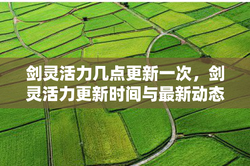 剑灵活力几点更新一次，剑灵活力更新时间与最新动态解析