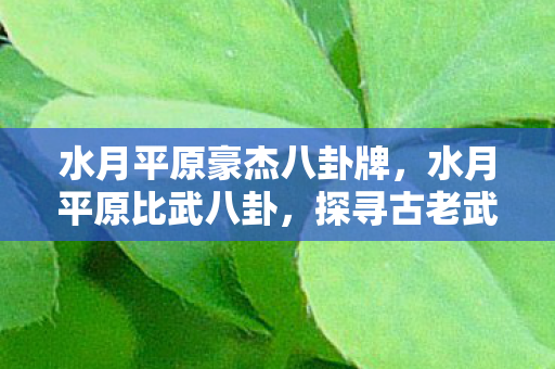 水月平原豪杰八卦牌，水月平原比武八卦，探寻古老武艺与现代竞技的交融之美