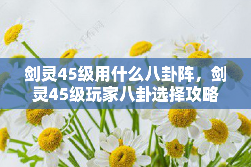 剑灵45级用什么八卦阵，剑灵45级玩家八卦选择攻略