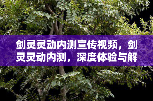 剑灵灵动内测宣传视频，剑灵灵动内测，深度体验与解析