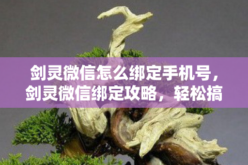 剑灵微信怎么绑定手机号，剑灵微信绑定攻略，轻松搞定账号关联