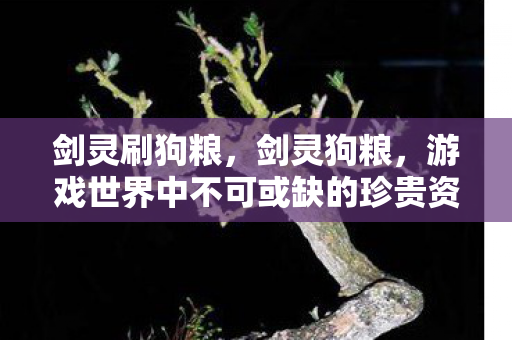 剑灵刷狗粮，剑灵狗粮，游戏世界中不可或缺的珍贵资源