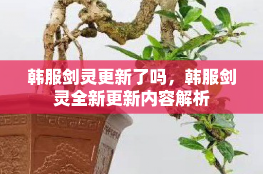 韩服剑灵更新了吗，韩服剑灵全新更新内容解析