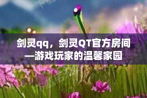 剑灵qq，剑灵QT官方房间—游戏玩家的温馨家园
