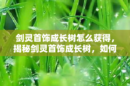 剑灵首饰成长树怎么获得，揭秘剑灵首饰成长树，如何提升你的装备实力？