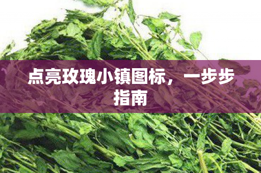 点亮玫瑰小镇图标，一步步指南