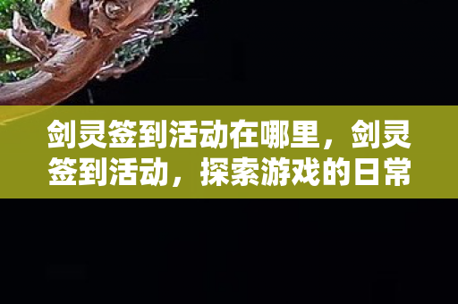 剑灵签到活动在哪里，剑灵签到活动，探索游戏的日常惊喜与福利