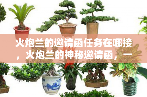 火炮兰的邀请函任务在哪接，火炮兰的神秘邀请函，一场跨越时空的冒险之旅