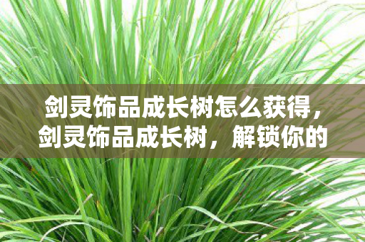 剑灵饰品成长树怎么获得，剑灵饰品成长树，解锁你的装备进阶之路