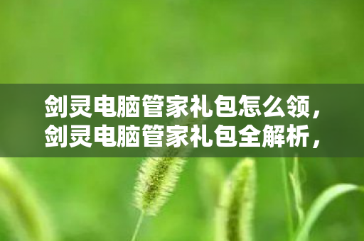 剑灵电脑管家礼包怎么领，剑灵电脑管家礼包全解析，游戏爱好者不可错过的福利盛宴