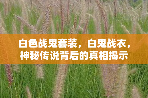 白色战鬼套装，白鬼战衣，神秘传说背后的真相揭示