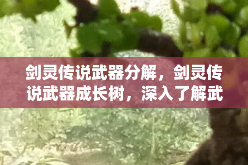 剑灵传说武器分解，剑灵传说武器成长树，深入了解武器进化系统