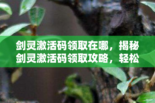 剑灵激活码领取在哪，揭秘剑灵激活码领取攻略，轻松开启你的游戏之旅