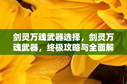 剑灵万魂武器选择，剑灵万魂武器，终极攻略与全面解析