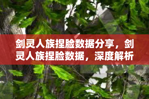 剑灵人族捏脸数据分享，剑灵人族捏脸数据，深度解析与创作指南