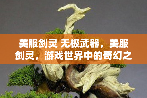 美服剑灵 无极武器，美服剑灵，游戏世界中的奇幻之旅