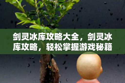 剑灵冰库攻略大全，剑灵冰库攻略，轻松掌握游戏秘籍