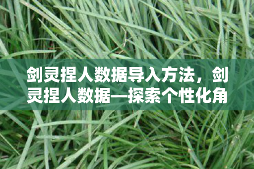 剑灵捏人数据导入方法，剑灵捏人数据—探索个性化角色的无限可能