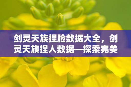 剑灵天族捏脸数据大全，剑灵天族捏人数据—探索完美角色的秘密