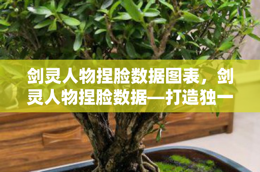 剑灵人物捏脸数据图表，剑灵人物捏脸数据—打造独一无二的游戏角色形象