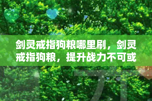 剑灵戒指狗粮哪里刷，剑灵戒指狗粮，提升战力不可或缺的重要元素