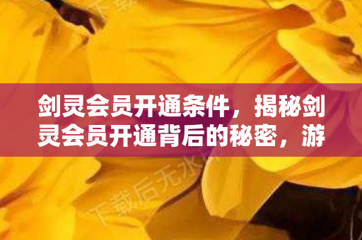 剑灵会员开通条件，揭秘剑灵会员开通背后的秘密，游戏进阶之路，特权与福利的双重诱惑