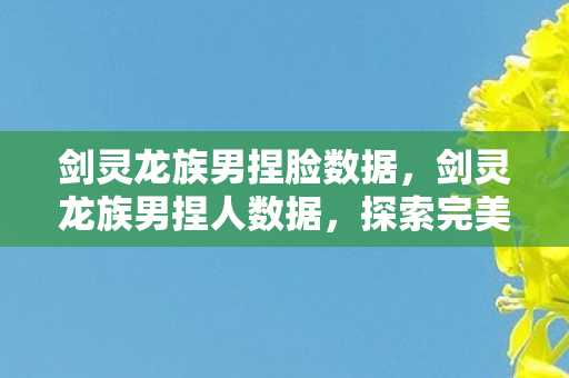 剑灵龙族男捏脸数据，剑灵龙族男捏人数据，探索完美角色的艺术之旅