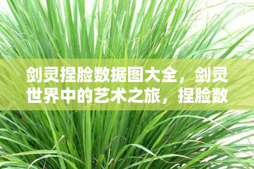 剑灵捏脸数据图大全，剑灵世界中的艺术之旅，捏脸数据图的深度解析