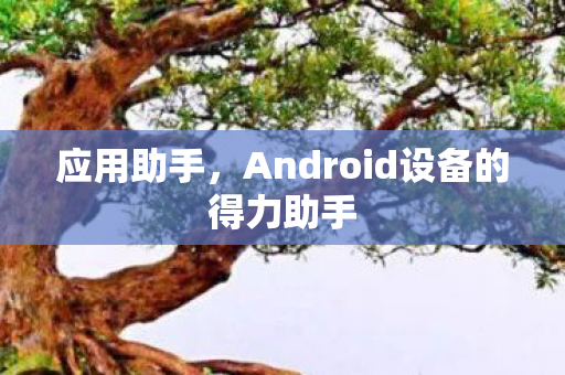 应用助手，Android设备的得力助手