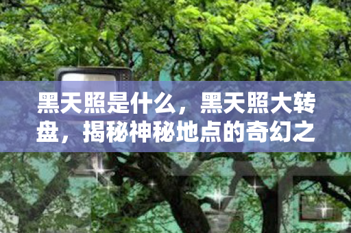 黑天照是什么，黑天照大转盘，揭秘神秘地点的奇幻之旅