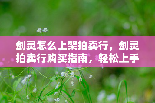 剑灵怎么上架拍卖行，剑灵拍卖行购买指南，轻松上手，告别小白！