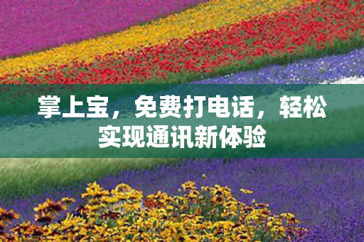 掌上宝，免费打电话，轻松实现通讯新体验