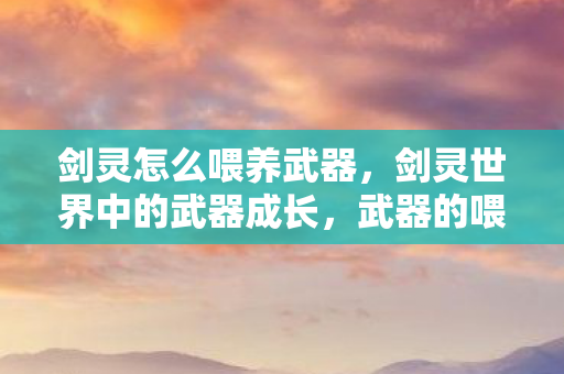 剑灵怎么喂养武器，剑灵世界中的武器成长，武器的喂养与进阶攻略