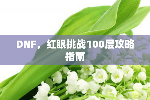 DNF，红眼挑战100层攻略指南
