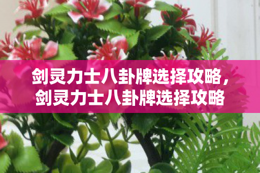 剑灵力士八卦牌选择攻略，剑灵力士八卦牌选择攻略